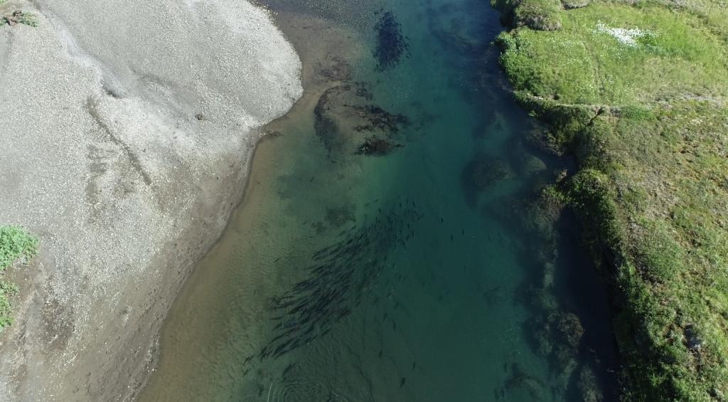 Авиамониторинг_Чукотка