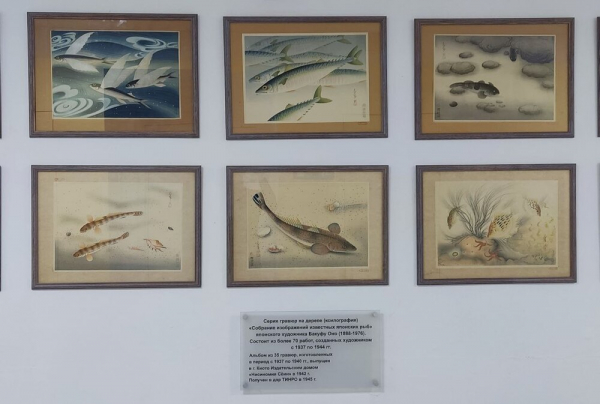 Бакуфу Оно и его «Собрание изображений известных японских рыб».