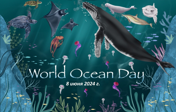 Всемирный день океанов ‒ повод вспомнить об экологии