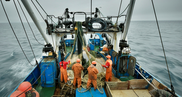 C Всемирным днем рыболовства!