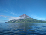 Новые данные о миграциях горбуши в Охотском море.
