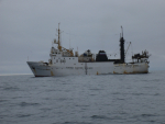 Сезон морских исследований в разгаре
