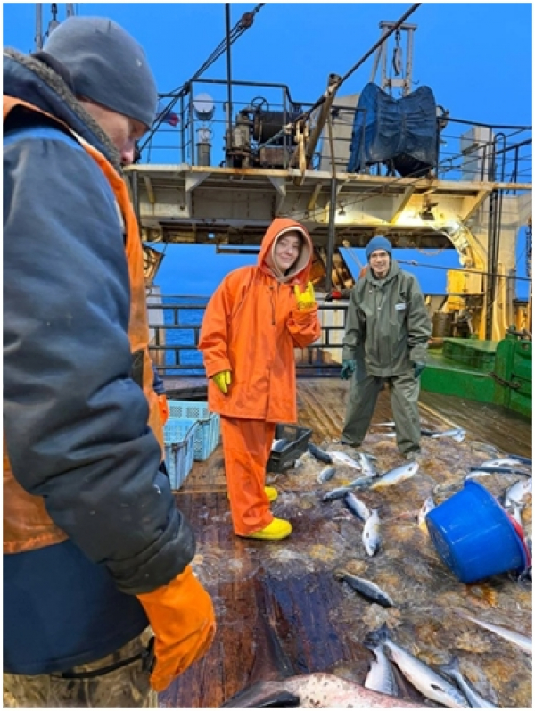 Новые горизонты исследовательских стажировок