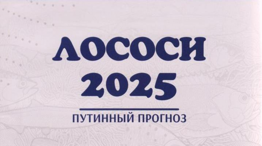 Вышел в свет путинный прогноз промысла дальневосточных лососей