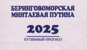 Вышел в свет прогноз беринговоморской минтаевой путины