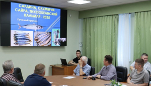 Учёные ТИНРО подготовили прогноз на пелагическую путину 2025 года