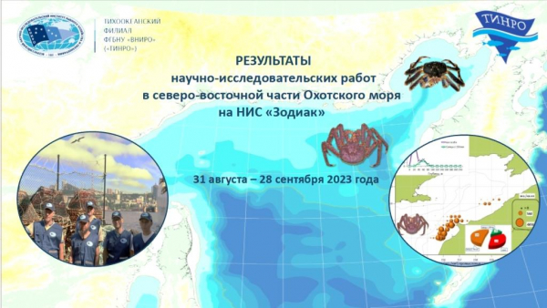 Учёные Всероссийского НИИ рыбного хозяйства и океанографии изучили состояние  популяций промысловых видов крабов