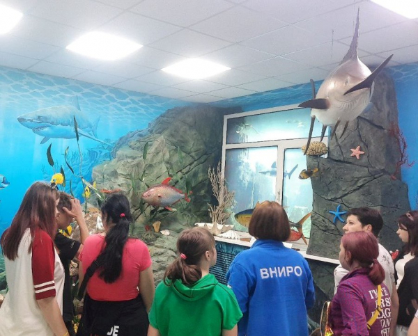 Сотрудники «ТИНРО» рассказали  молодым приморцам и петербуржцам о морских обитателях и о значимости развития рыбохозяйственной науки