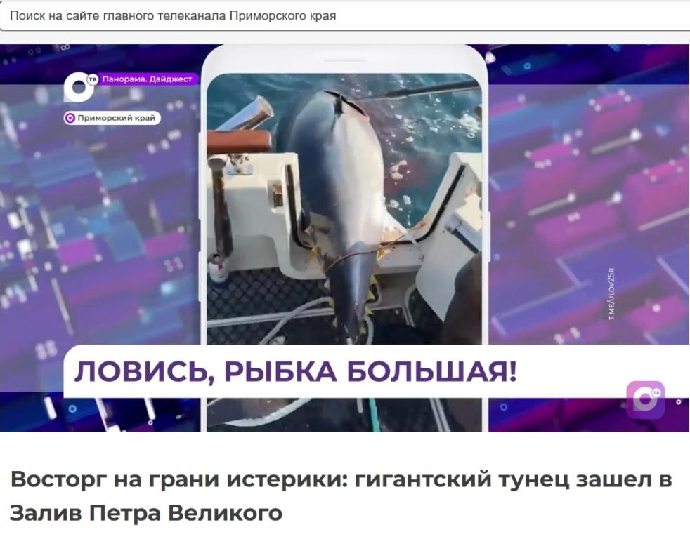 Рыболовы с заслуженной гордостью размещают в социальных сетях результаты многочасового противоборства с этой стремительной, энергичной и сильной рыбой.    