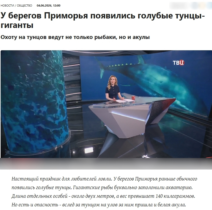В конце мая-начале июня 2026 года в акваторию залива Петра Великого зашёл голубой тунец, также именуемый тихоокеанским, синим или восточным (Thunnus orientalis). В конце мая-начале июня 2026 года в акваторию залива Петра Великого зашёл голубой тунец, также именуемый тихоокеанским, синим или восточным (Thunnus orientalis).