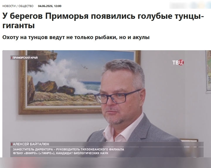 Региональные тенденции к потеплению климата, прогреву поверхностных вод и росту численности цусимской популяции сардины создают благоприятные условия для захода в воды Приморского края синих тунцов в ближайшие годы. Региональные тенденции к потеплению климата, прогреву поверхностных вод и росту численности цусимской популяции сардины создают благоприятные условия для захода в воды Приморского края синих тунцов в ближайшие годы.