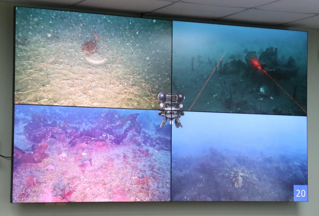 В рамках подводных визуальных исследований, выполненных с борта судна при помощи телеуправляемого необитаемого подводного аппарата (ТНПА), оператор ТНПА отработал различные аспекты применения подводного дрона  