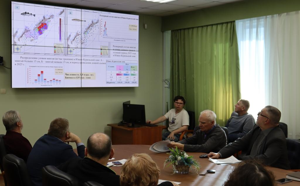 Доля высоких концентраций минтая длиной более 15 см в ихтиоцене зоны исследований составила 22,8%