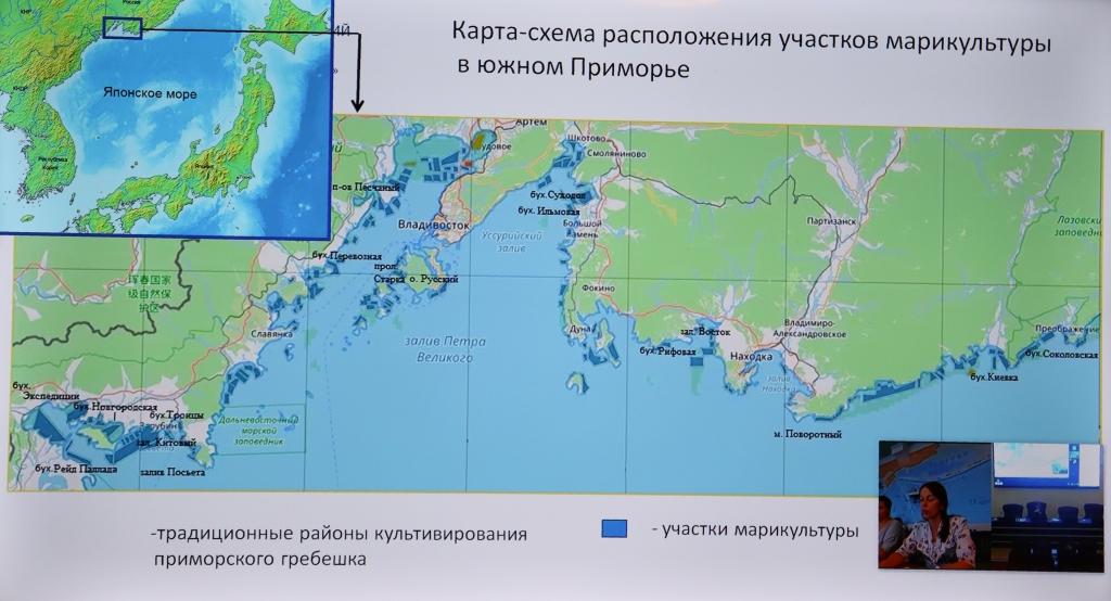 Научные доклады учёных ТИНРО