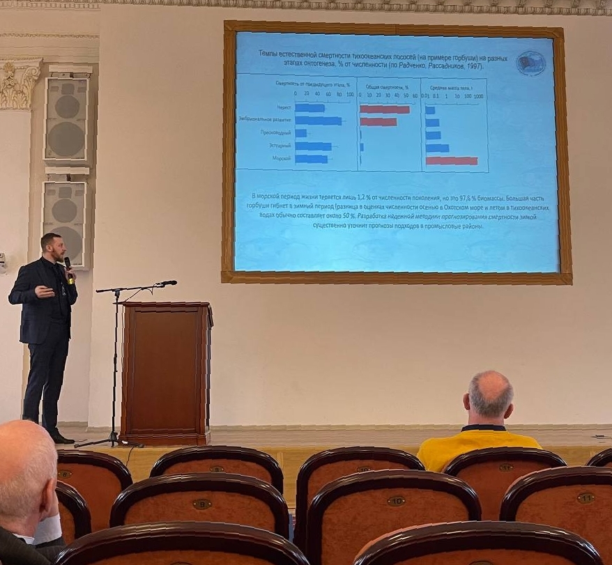 Автор рассмотрел темпы смертности горбуши в течение онтогенеза, проанализировал факторы смертности горбуши в морской период жизни, предложил методику оценки физиологического состояния молоди горбуши как фактора зимней выживаемости