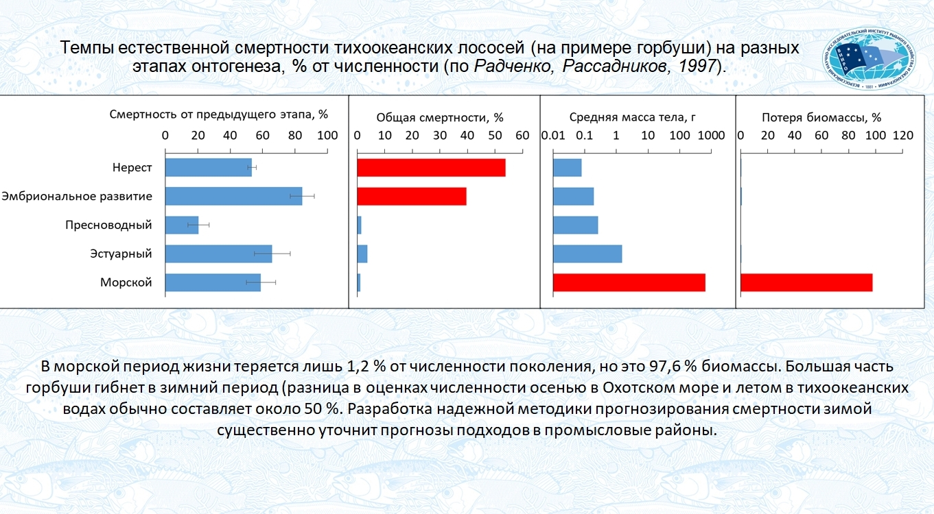 Актуальность доклада Алексея Сомова «О разработке методики прогнозирования выживаемости горбуши в зимний период» связана с тем, что в морской период жизни теряется лишь 1,2% от численности поколения этого вида тихоокеанских лососей, но эта доля составляет 97,6% биомассы