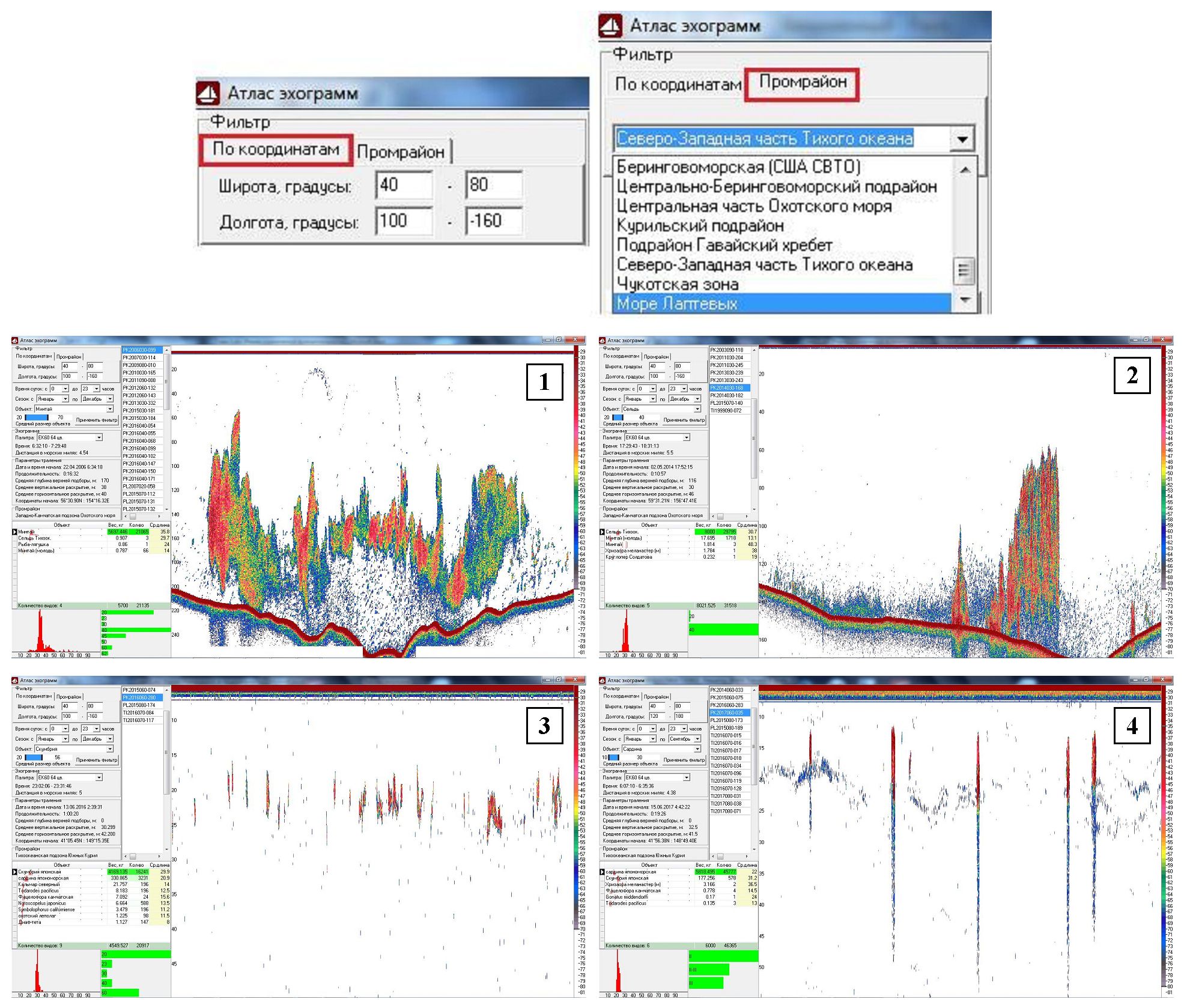 Рис. 1. Примеры акустических изображений из Атласа:  1 - минтай (Охотское море, Западная Камчатка); 2 - тихоокеанская сельдь (Охотское море, залив Шелихова); 3 - японская скумбрия (СЗТО); 4 - дальневосточная сардина (СЗТО)