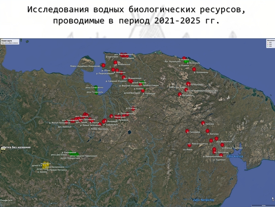 Учёные ТИНРО ежегодно проводят комплексные экспедиционные исследования водных биологических ресурсов и среды их обитания на территории Чукотского автономного округа, где насчитывается около 400 тыс. малоизученных водных объектов. 
