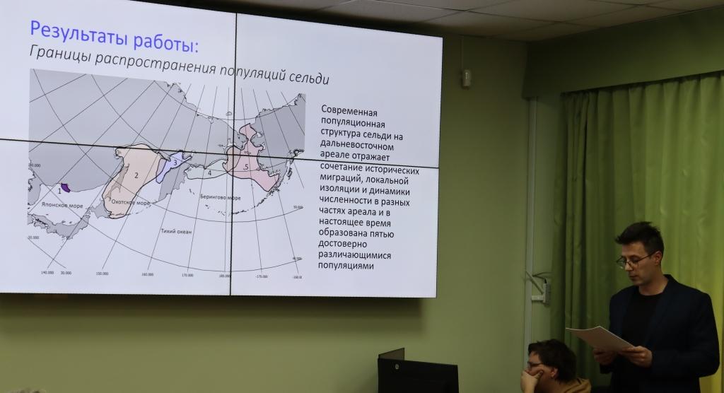 Основная цель исследования − выявление популяционной структуры и генетического разнообразия тихоокеанской сельди в дальневосточной части ареала с использованием современных молекулярно-генетических методов, а также оценка состава смешанных скоплений и выявление механизмов формирования озёрных форм этого вида