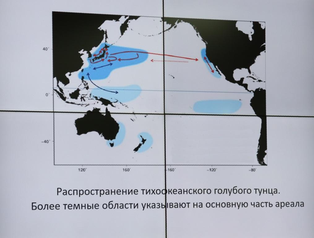 Распространение тихоокеанского голубого тунца. Более тёмные области указывают на основную часть ареала. 