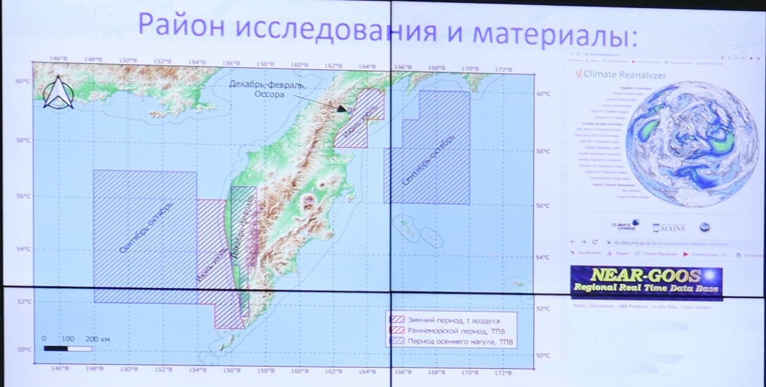 В ходе исследования автор получил новые представления о внутрипопуляционной, функциональной структуре двух основных макрогруппировок горбуши в контрольных реках Камчатского края, обеспечивающей механизм поддержания высокой численности в условиях изменяющегося климата. В ходе исследования автор получил новые представления о внутрипопуляционной, функциональной структуре двух основных макрогруппировок горбуши в контрольных реках Камчатского края, обеспечивающей механизм поддержания высокой численности в условиях изменяющегося климата.