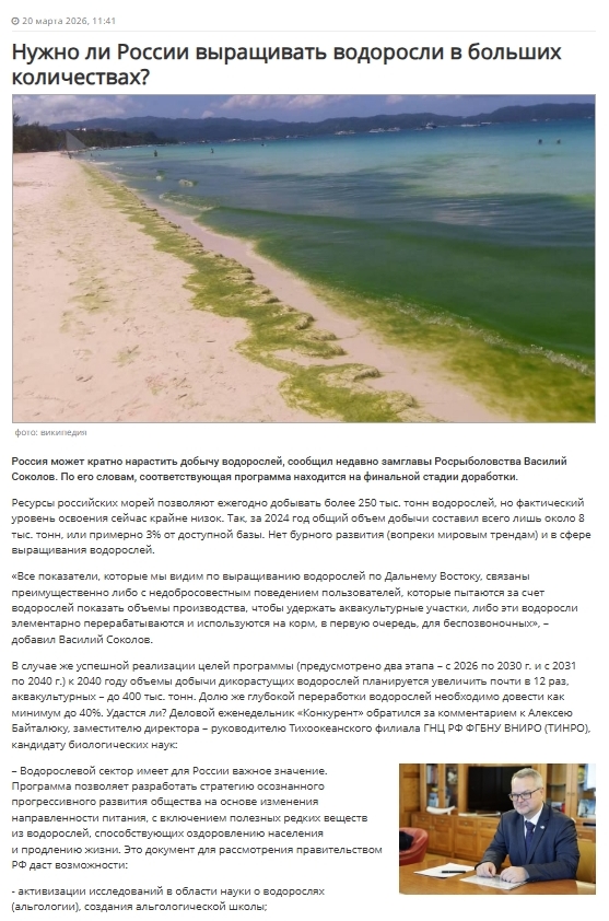 Скриншот статьи на сайте Делового еженедельника «Конкурент».  Ссылка: https://konkurent.ru/article/85588 