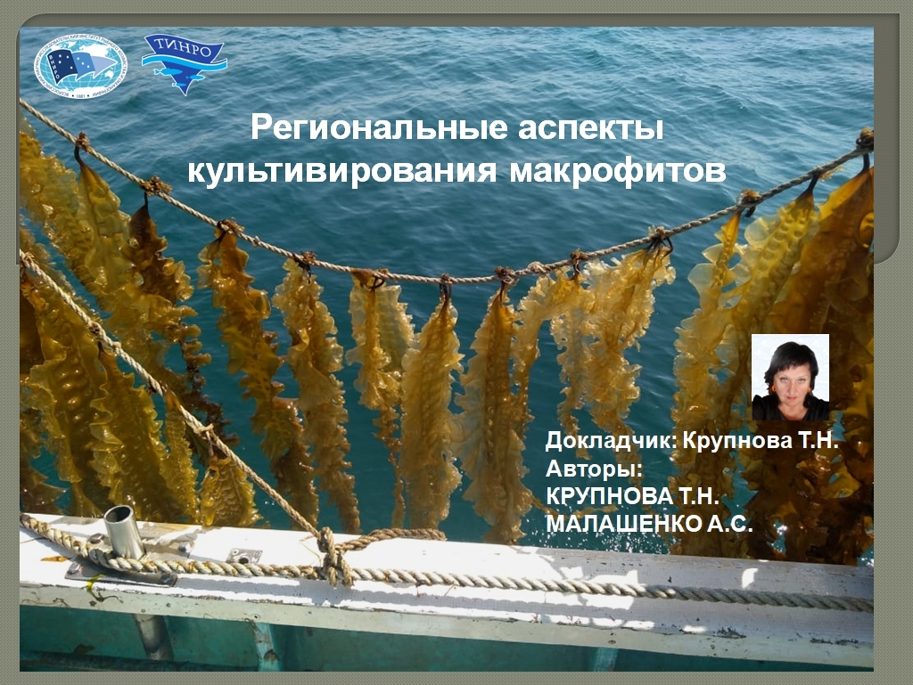 Авторы доклада «Региональные аспекты культивирования макрофитов», на основе анализа опыта многолетнего промышленного культивирования ламинарии японской (современное название Saccharina japonica), сделали  вывод о том, что при введении в культуру водорослей необходимо учитывать их биогеографические характеристики, основанные на термопатии, экологической пластичности, особенностях жизненных циклов и способности поддаваться культивированию 