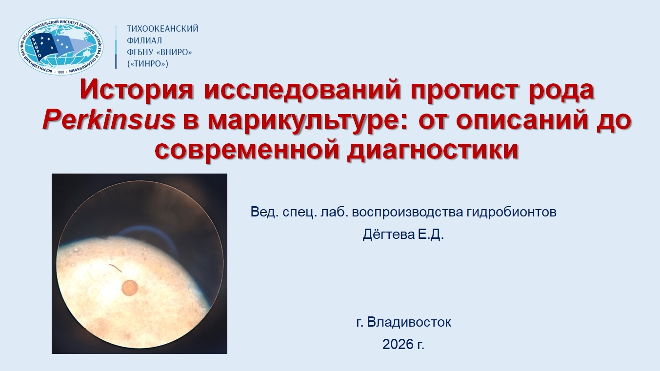Екатерина Дегтева в докладе «История исследований протист рода Perkinsus в марикультуре: от описаний до современной диагностики» аргументировано обосновала важность проведения дальнейших отечественных исследований патогенных простейших у двустворчатых моллюсков, в целях повышения эффективности деятельности марикультурных хозяйств
