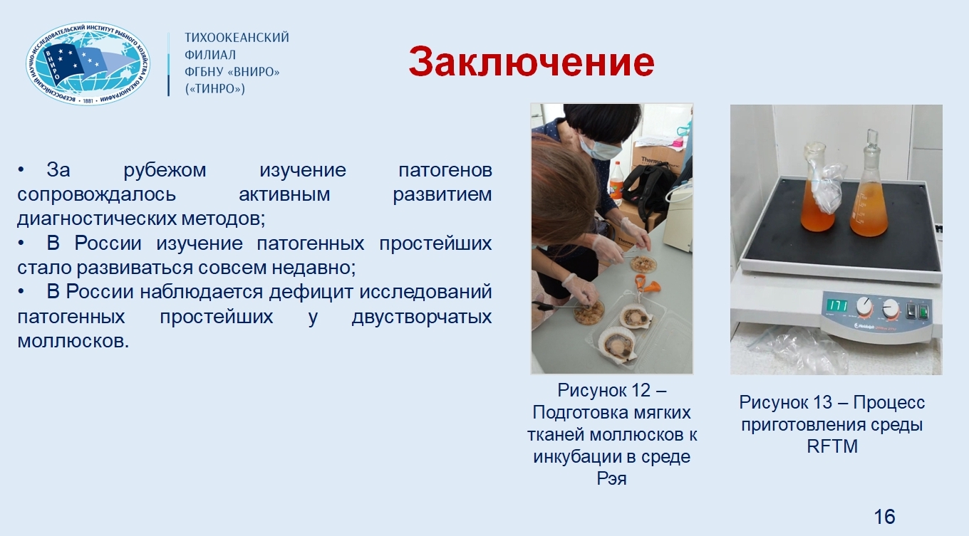 Екатерина Дегтева в докладе «История исследований протист рода Perkinsus в марикультуре: от описаний до современной диагностики» аргументировано обосновала важность проведения дальнейших отечественных исследований патогенных простейших у двустворчатых моллюсков, в целях повышения эффективности деятельности марикультурных хозяйств