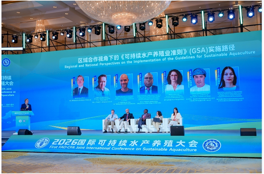 Панельная дискуссия (секция 8)