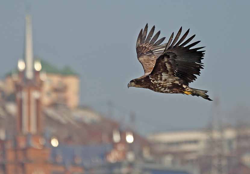 Фото О.Н. Катугина Фото О.Н. Катугина