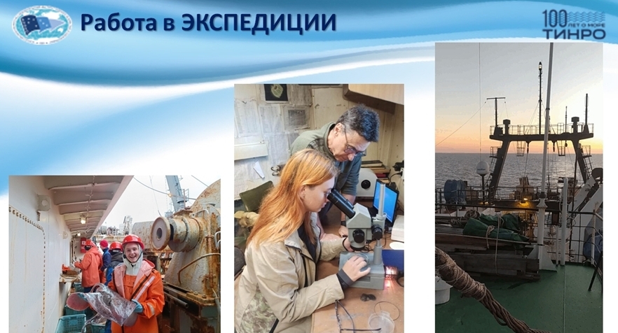 Занятия по профориентации способствуют расширению кругозора учащихся, помогают определиться с выбором жизненного пути, который бы наполнял паруса саморазвития ветром искренней радости от любимого дела