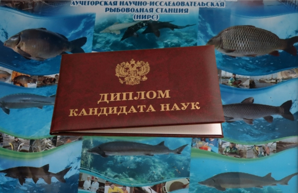 Поздравляем Дмитрия Юрьевича Амвросова  с присвоением учёной степени кандидата наук!